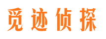 大悟市婚外情调查